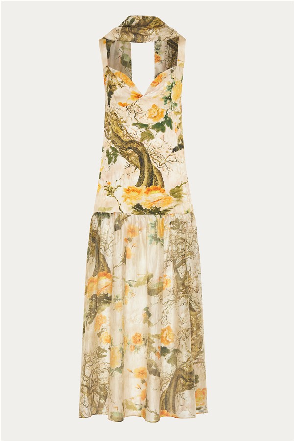 NIDODILEDA ALLEGORY DRESS PRINTED