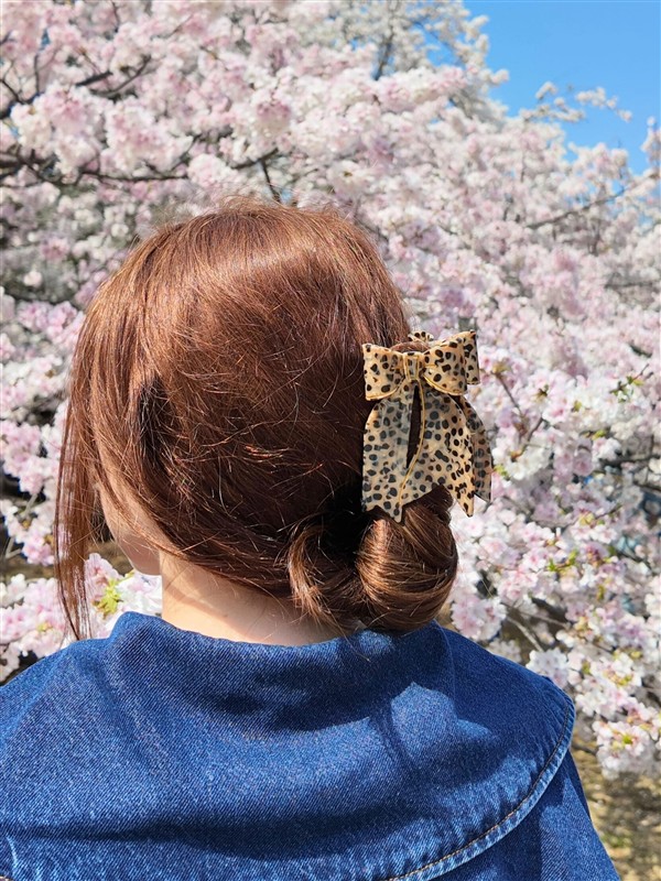 SOLAR ECLIPSE FESTIVE BOW LEOPARD