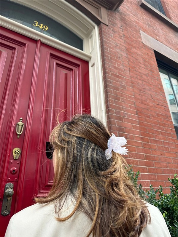 SOLAR ECLIPSE HAIR CLIP PEACE DOVE BIRD