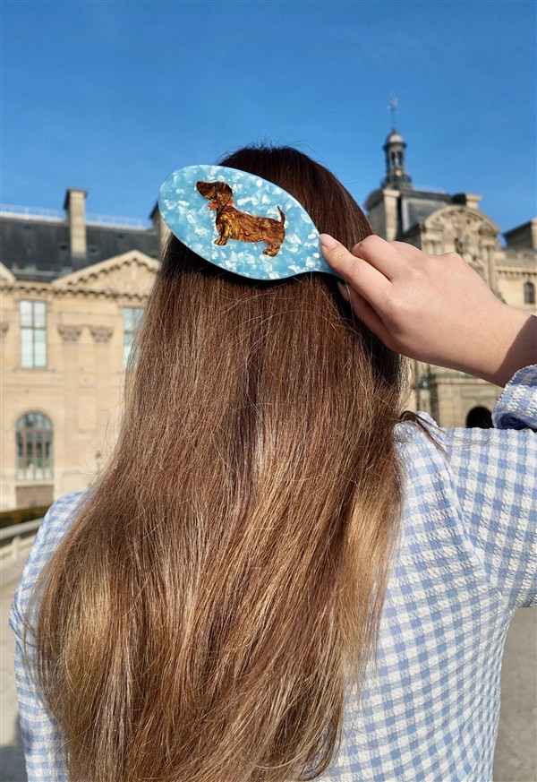 SOLAR ECLIPSE HAIR DAY BRUSH DACHSHUND