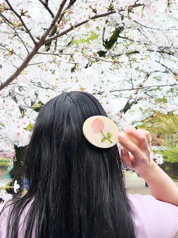 SOLAR ECLIPSE HAND BAG HERO BRUSH SPRING ROSE